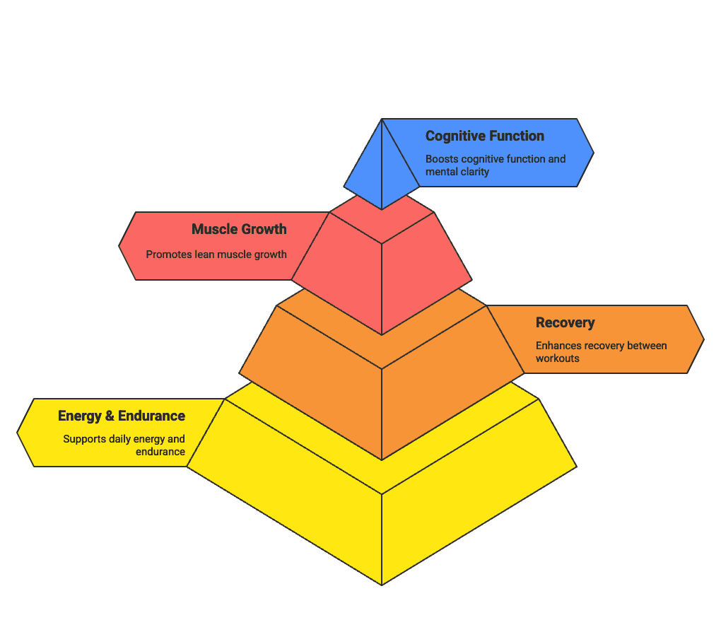 Why Creatine - Scientific Benefits Infographic